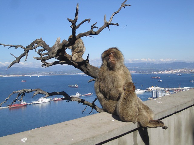 Gibraltar